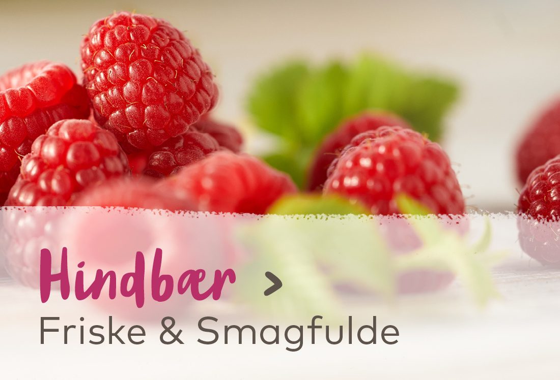 Hindbær - Friske & Smagfulde