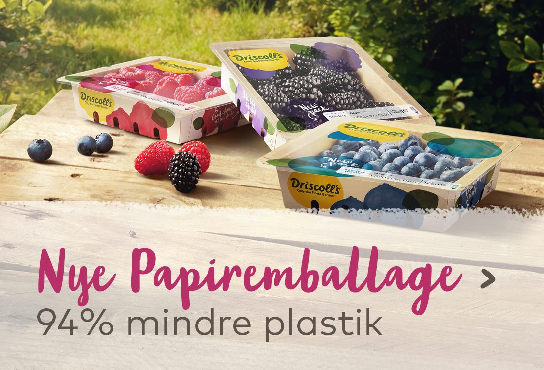 Ny indpakning af papir - 