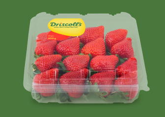 Jordbær Driscoll's