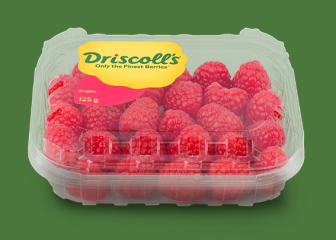  Hindbær Driscoll's