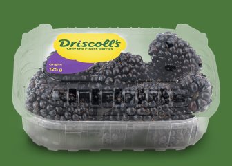  Brombær Driscoll's 