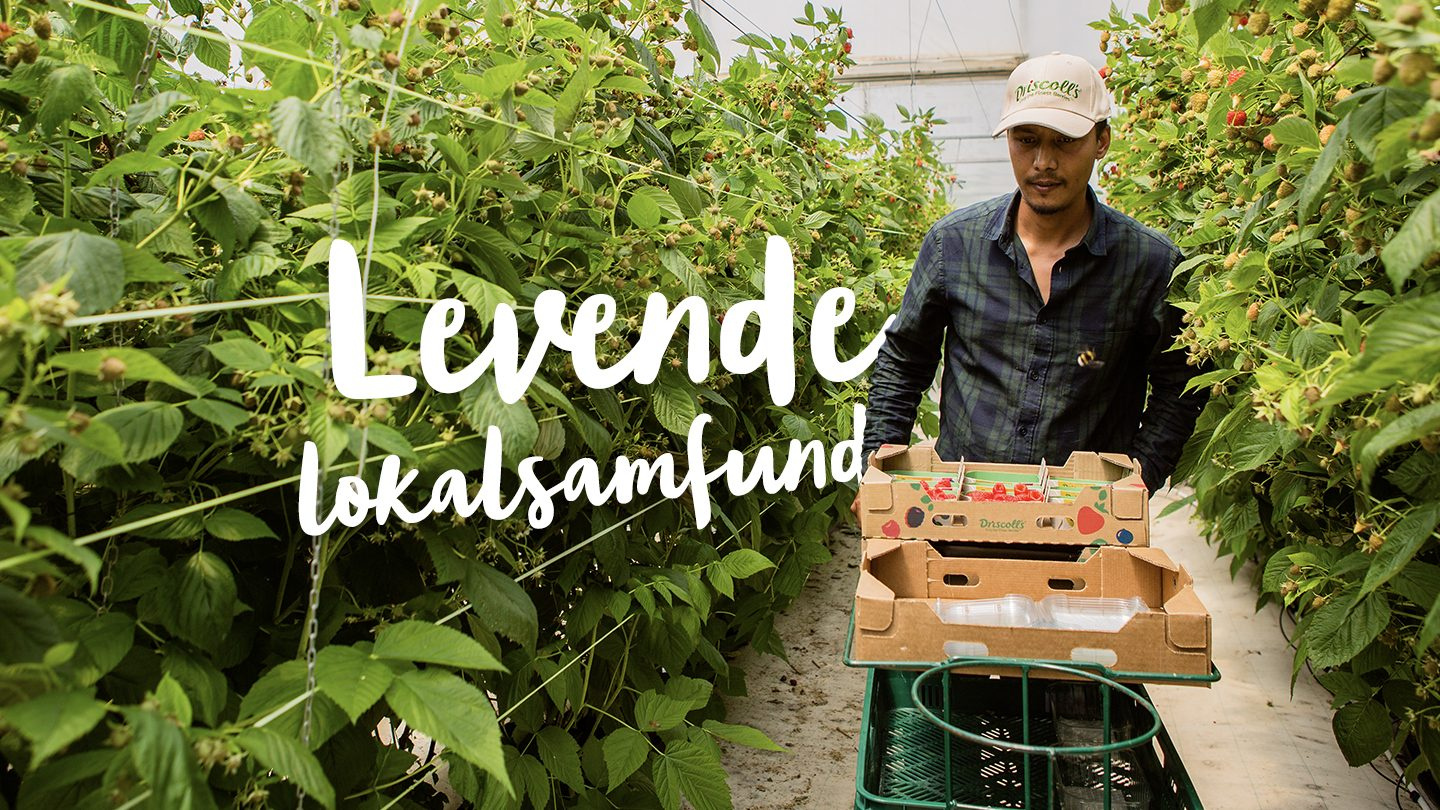 Levende lokalsamfund