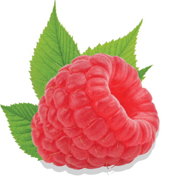 raspberry