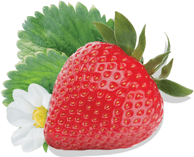 strawberry